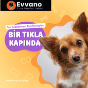 Pet Shop